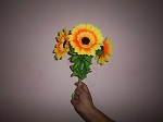 single
